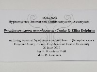 登錄號:F0031007藏品圖，第3張