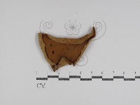 登錄號:F0031007藏品圖，第1張