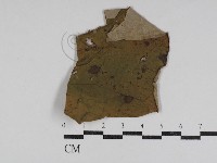 登錄號:F0031008藏品圖，第1張