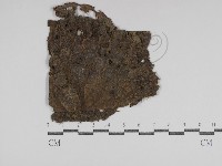 登錄號:F0031009藏品圖，第1張