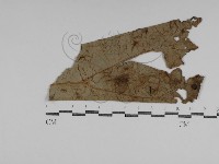 登錄號:F0031011藏品圖，第1張