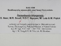 登錄號:F0031012藏品圖，第2張