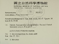 登錄號:F0031013藏品圖，第2張
