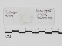 登錄號:F0031014藏品圖，第1張