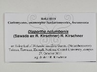 登錄號:F0031017藏品圖，第3張