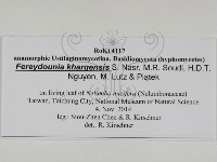 登錄號:F0031018藏品圖，第3張