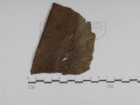 登錄號:F0031018藏品圖，第1張