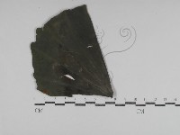 登錄號:F0031018藏品圖，第4張