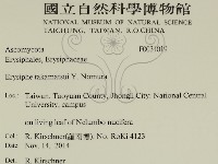 登錄號:F0031019藏品圖，第2張