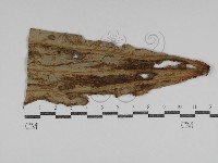 登錄號:F0031019藏品圖，第1張