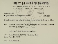 登錄號:F0031020藏品圖，第2張