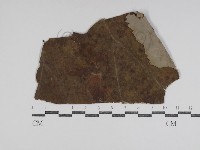 登錄號:F0031020藏品圖，第1張