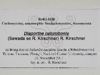 登錄號:F0031021藏品圖，第3張