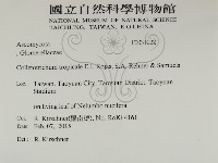 登錄號:F0031022藏品圖，第2張