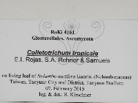 登錄號:F0031022藏品圖，第3張