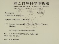 登錄號:F0031023藏品圖，第2張