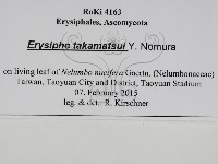 登錄號:F0031023藏品圖，第3張