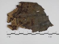 登錄號:F0031023藏品圖，第1張