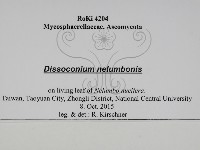 登錄號:F0031024藏品圖，第3張