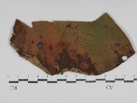 登錄號:F0031024藏品圖，第1張