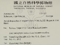 登錄號:F0031025藏品圖，第2張