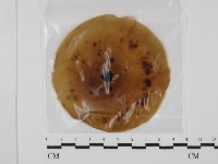 登錄號:F0031025藏品圖，第1張