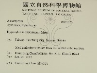 登錄號:F0031026藏品圖，第2張