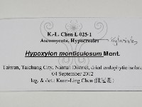 登錄號:F0031026藏品圖，第3張