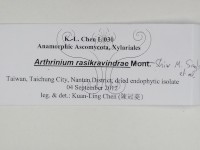 登錄號:F0031027藏品圖，第3張