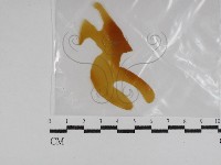 登錄號:F0031028藏品圖，第1張