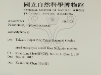 登錄號:F0031029藏品圖，第2張