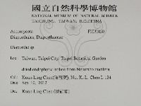 登錄號:F0031030藏品圖，第2張