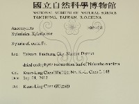 登錄號:F0031031藏品圖，第2張