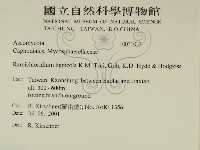 登錄號:F0031032藏品圖，第2張