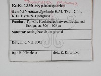 登錄號:F0031032藏品圖，第3張