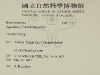 登錄號:F0031033藏品圖，第2張