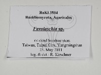 登錄號:F0031033藏品圖，第3張