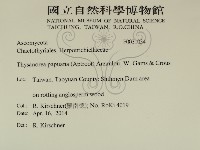 登錄號:F0031034藏品圖，第2張