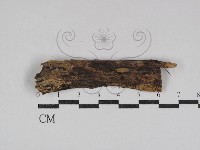 登錄號:F0031035藏品圖，第1張