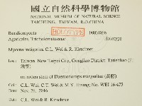 登錄號:F0031036藏品圖，第2張