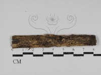 登錄號:F0031036藏品圖，第1張