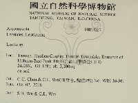 登錄號:F0031037藏品圖，第2張