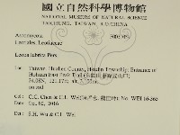 登錄號:F0031039藏品圖，第2張