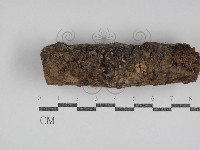 登錄號:F0031040藏品圖，第1張