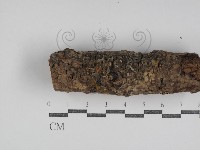 登錄號:F0031040藏品圖，第4張