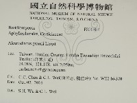 登錄號:F0031044藏品圖，第2張