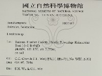 登錄號:F0031045藏品圖，第2張