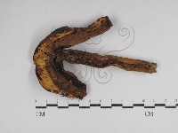 登錄號:F0031045藏品圖，第1張