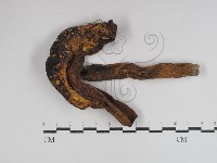 登錄號:F0031045藏品圖，第3張