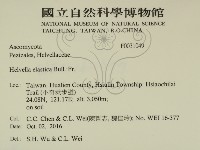 登錄號:F0031049藏品圖，第2張